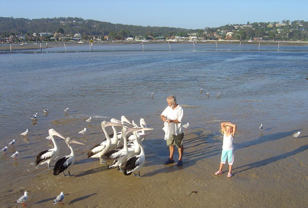 Nautilus Apartments Merimbula Buitenkant foto